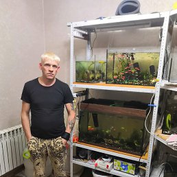 ���������, 38 ���, ����-���������