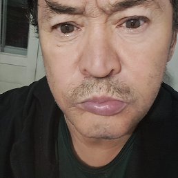 , 53, 