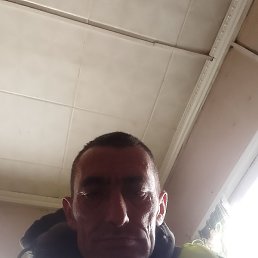 �����, ���������, 42 ����