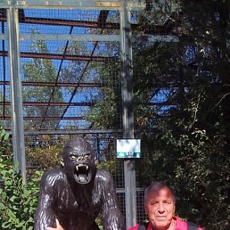 ���� ����, ���� - ��������� 26 ������ 2024