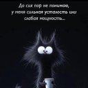  Sunshine, , 49  -  20  2025    