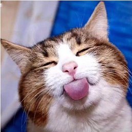 �������, ��������, 45 ���