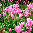 ���� �������, ������ - ��������� 3 ��� 2025 � ������ ���� ����������