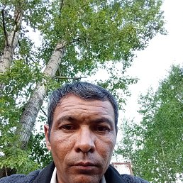 , 39, 