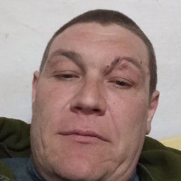 �������, ���������, 46 ���