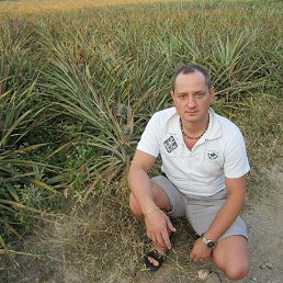 ��������, 45 ���, ���������