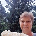 ���� ��������� ������, ���� - ��������� 25 ���� 2024