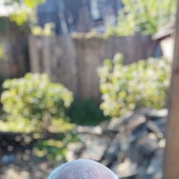 ����, ������, 58 ���