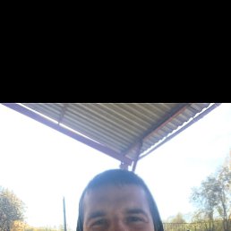 , 37, 