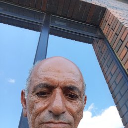 , 65, 