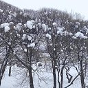 ���� �������, ������ - ��������� 13 ������� 2026 � ������ ������ ��������
