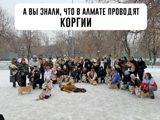  Aa opay acoe KOP. Cy epop aaec  o, o a cee oyxe ...
