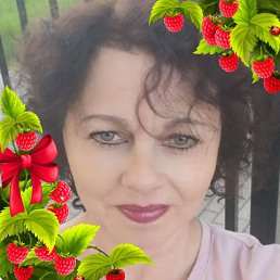 , 65, 