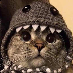 �����, �����, 47 ���