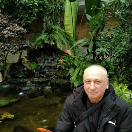 ������� ����������, 64 ����, ��������