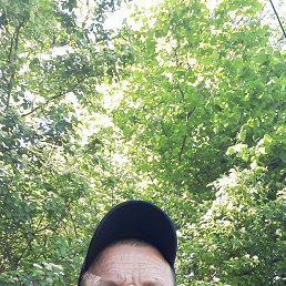 , 55, 