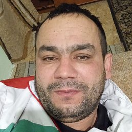 �����, ���������, 43 ����