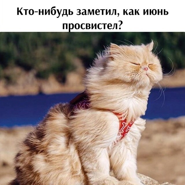       - 30  2025  20:52