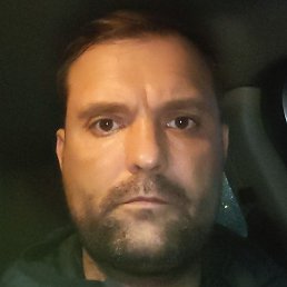 �������, �����-���������, 41 ���