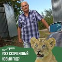 ���� �������, ����������� - ��������� 8 ��� 2026 � ������ ���� ����������