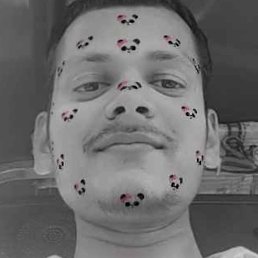 S S Yadav, ����, 23 ����