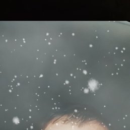 , 33, 