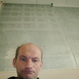  , 41, 