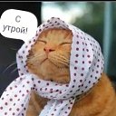 ���� �������� ����������, ������, 51 ��� - ��������� 14 ���� 2024 � ������ ���� ����������