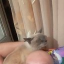 ���� �����, ������, 40 ��� - ��������� 16 ������� 2025