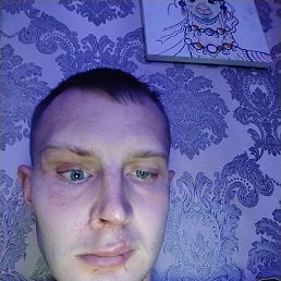 , 29, 