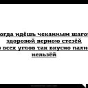 ���� ������, �����-��������� - ��������� 23 ������ 2026 � ������ ���� ����������