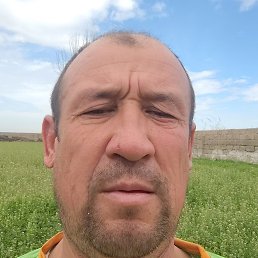 ����, �����, 45 ���