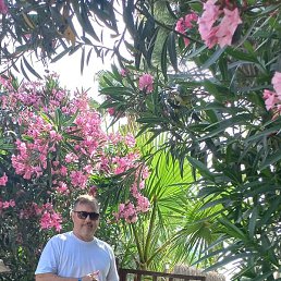 �����, ������, 53 ����