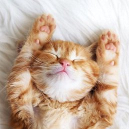 ���� ���, �����������, 39 ��� - ��������� 21 ������� 2024