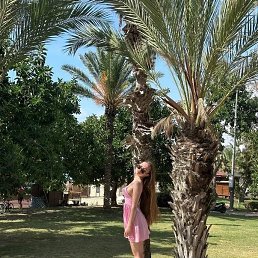 , 29, 