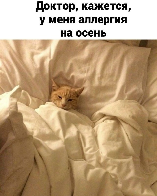 . - 21  2025  14:28 - 2