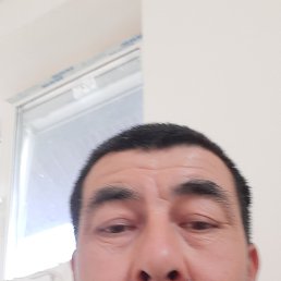 , 41, 