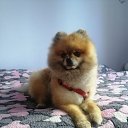 ���� �����, �����-��������� - ��������� 17 ������ 2025 � ������ ���� ����������