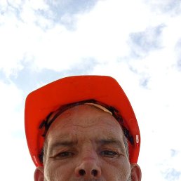 , 41, 