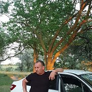 ������, 54 ����, ������