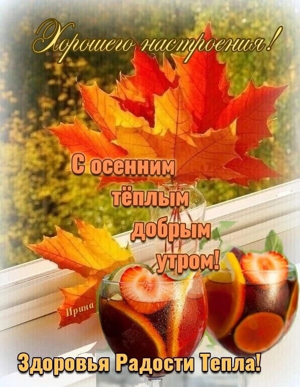   ,    . - 5  2025  07:36