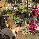 ���� Vera Sun, �����������, 69 ��� - ��������� 28 ����� 2026