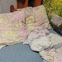 ���� - ������� -, �����������, 52 ���� - ��������� 13 ������ 2025 � ������ ���� ����������