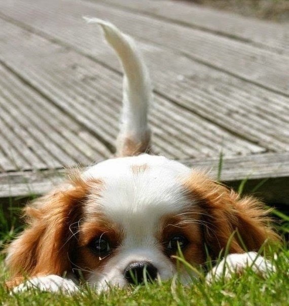 ����� �������� � �����, ���� ������ ������ ���. � �. �������