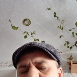 ���� ������� ����������, ������ ��������, 46 ��� - ��������� 18 ��� 2025