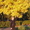 ���� �����, ������, 49 ��� - ��������� 30 ������ 2024 � ������ ���� ����������