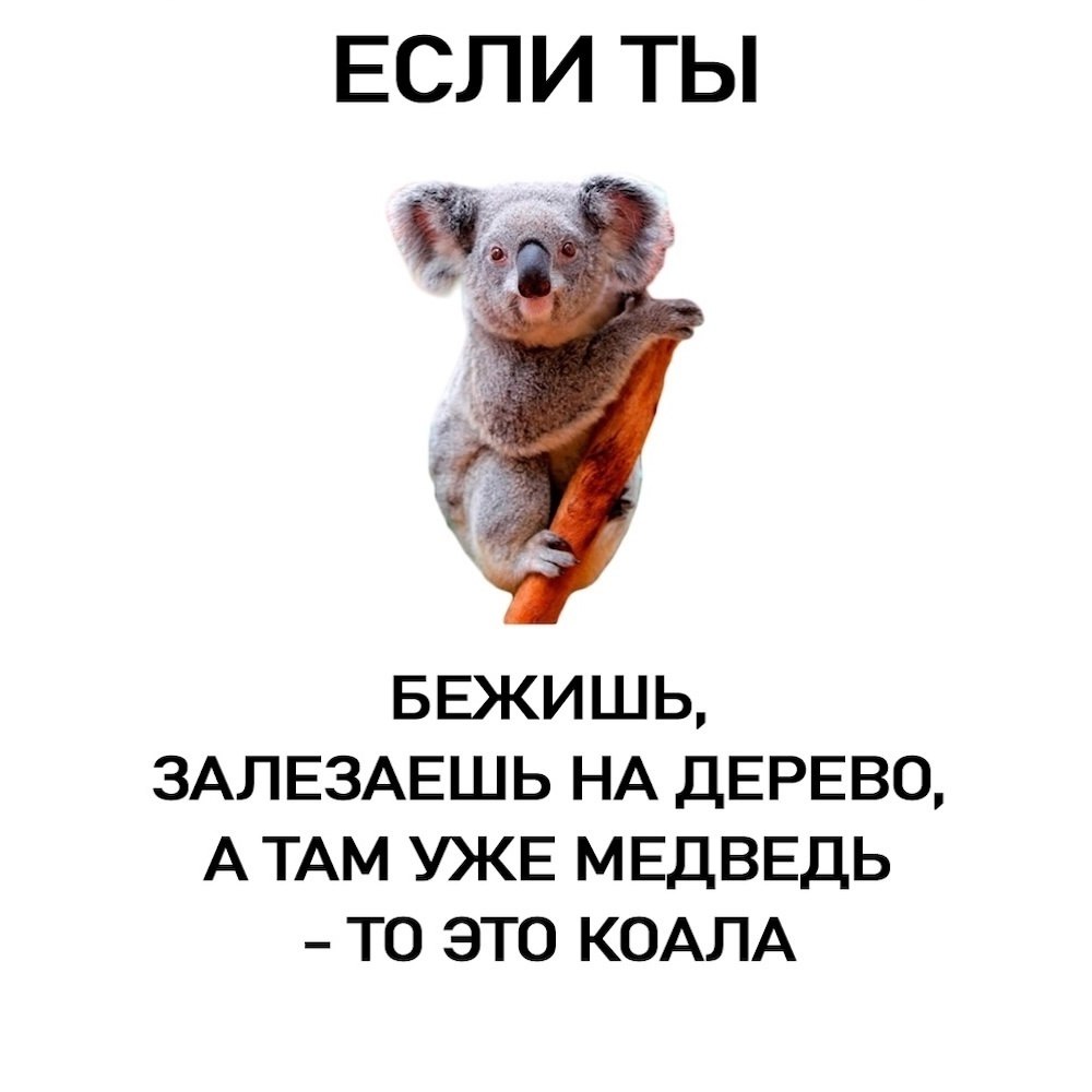,    - 4