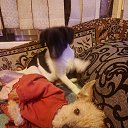 ���� ����, ������-��-����, 37 ��� - ��������� 16 ������� 2025 � ������ ���� ����������