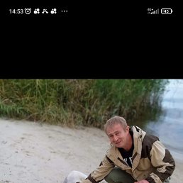 , 46, 