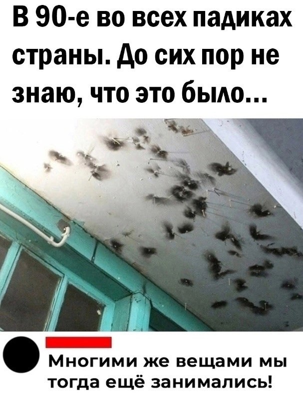 Берёшь спичку, слюнявишь об побелку, поджигаешь и ... - Я хочу ...